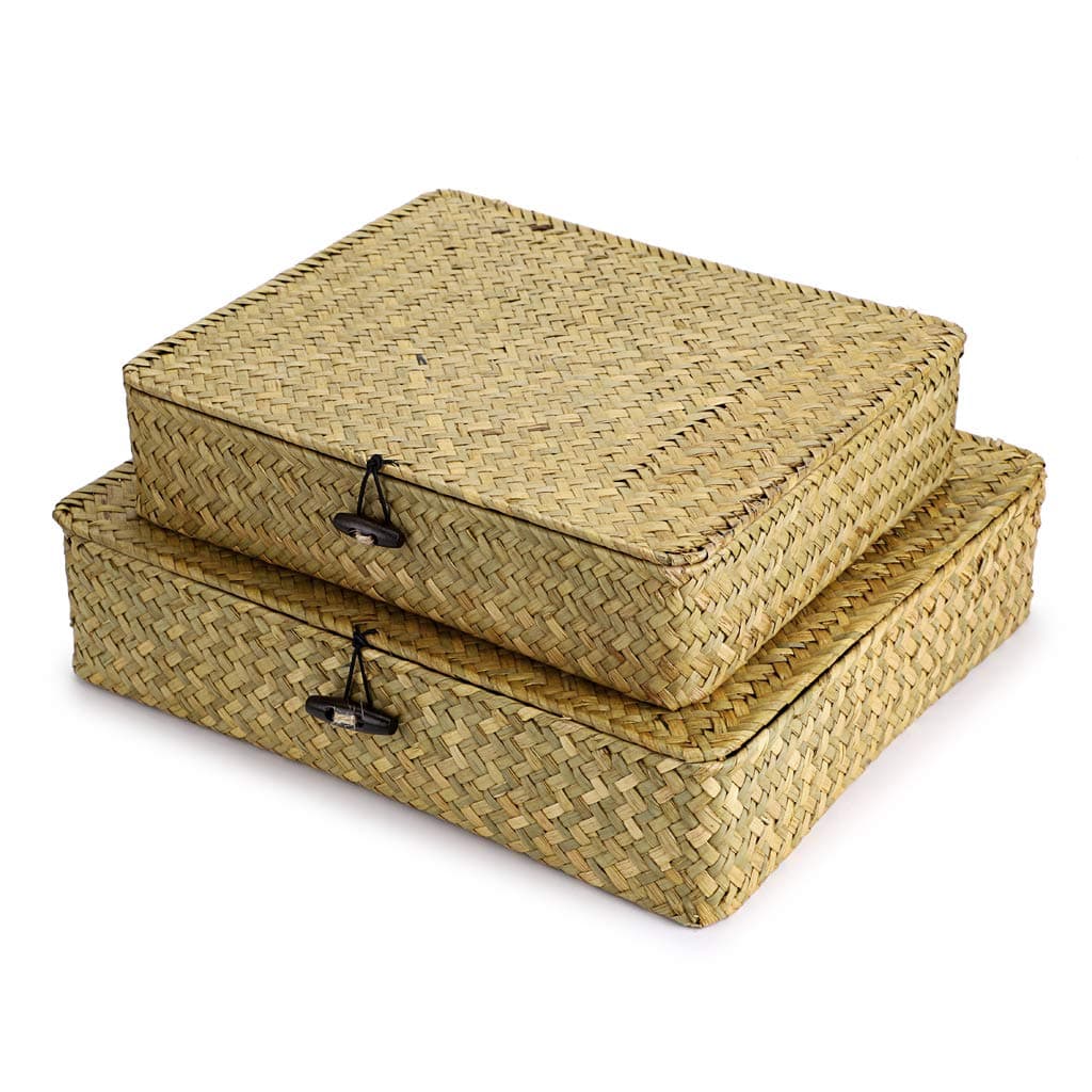 Hipiwe Set of 2 Flat Woven Wicker Storage Bins with Lid - Natural Seagrass Basket Boxes Multipurpose Home Organizer Bins Boxes for Shelf Organizer, Natural Color