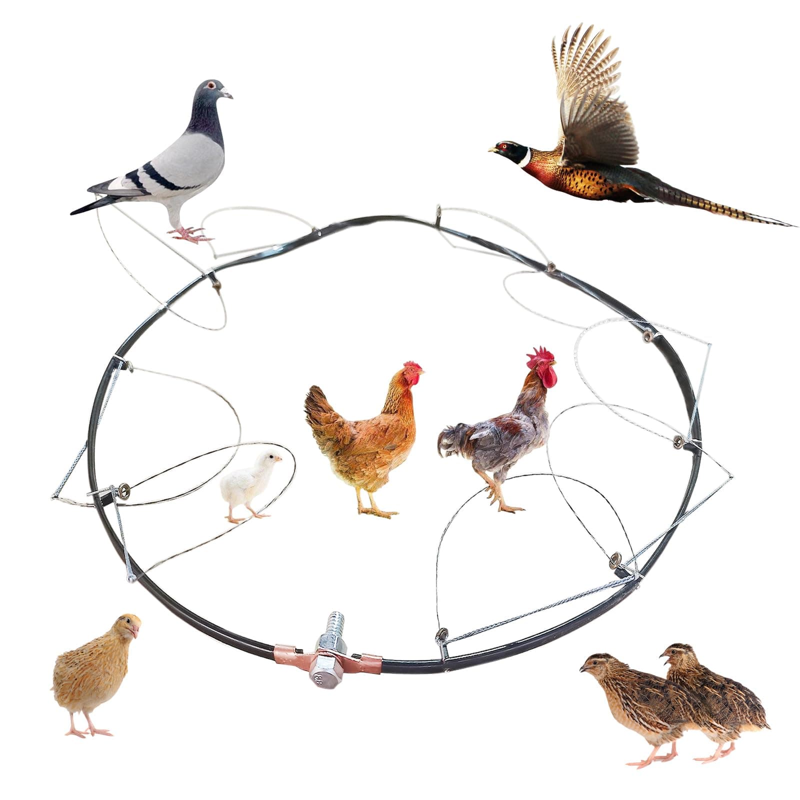 BUAKAW-X Bird Trap for Pigeon Quail Pheasant Turtledove Dove Pigeon Trap Dove Trap Bird Leg Trap Pigeon Leg Trap