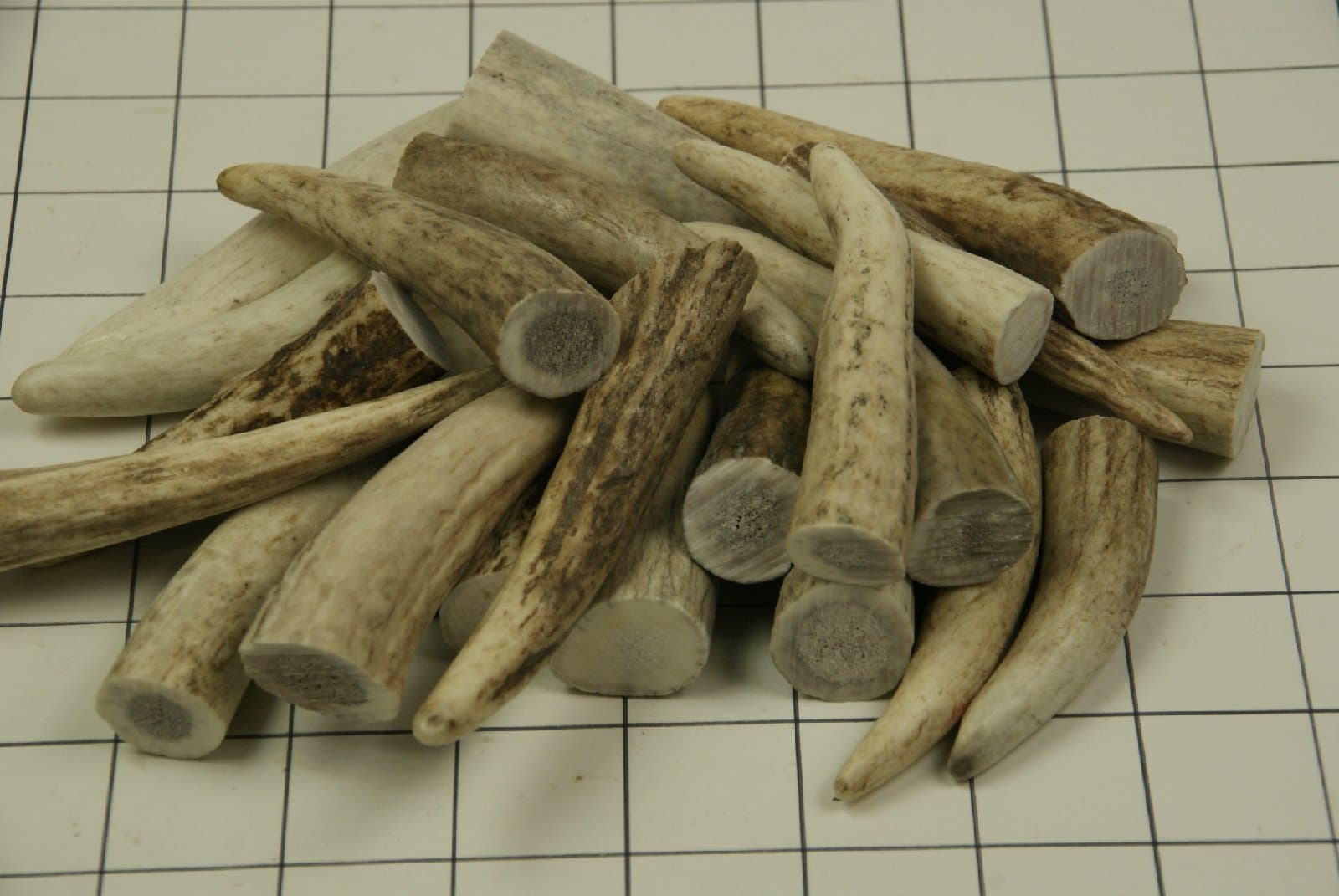 Elk Antler Tips - 1 Lbs - Real Elk Antler Tips - Crafting, Jewelry, Furniture, Home Decor