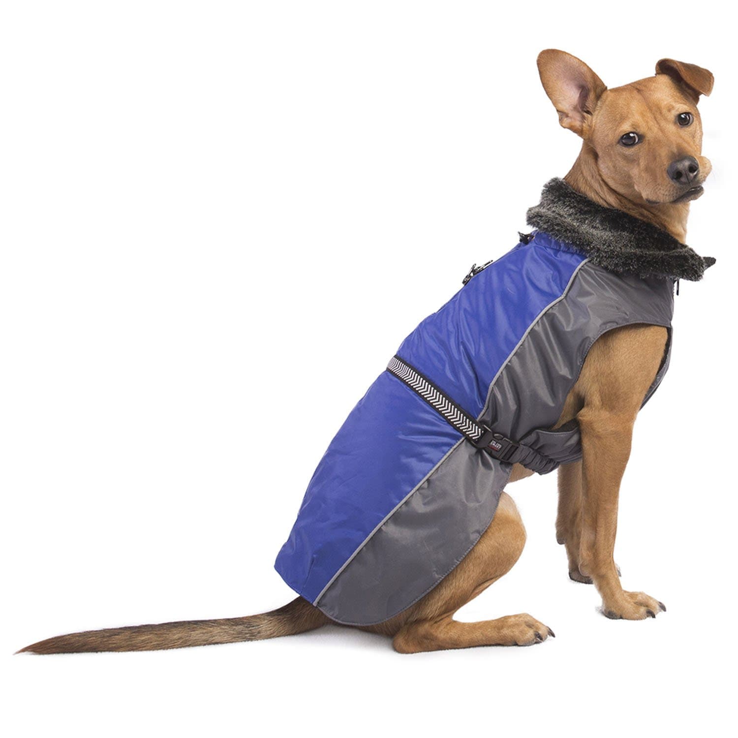 Dog Gone Smart Aspen Parka with Repelz-It Nano-Protection Coat for Dogs, 8", Cobalt