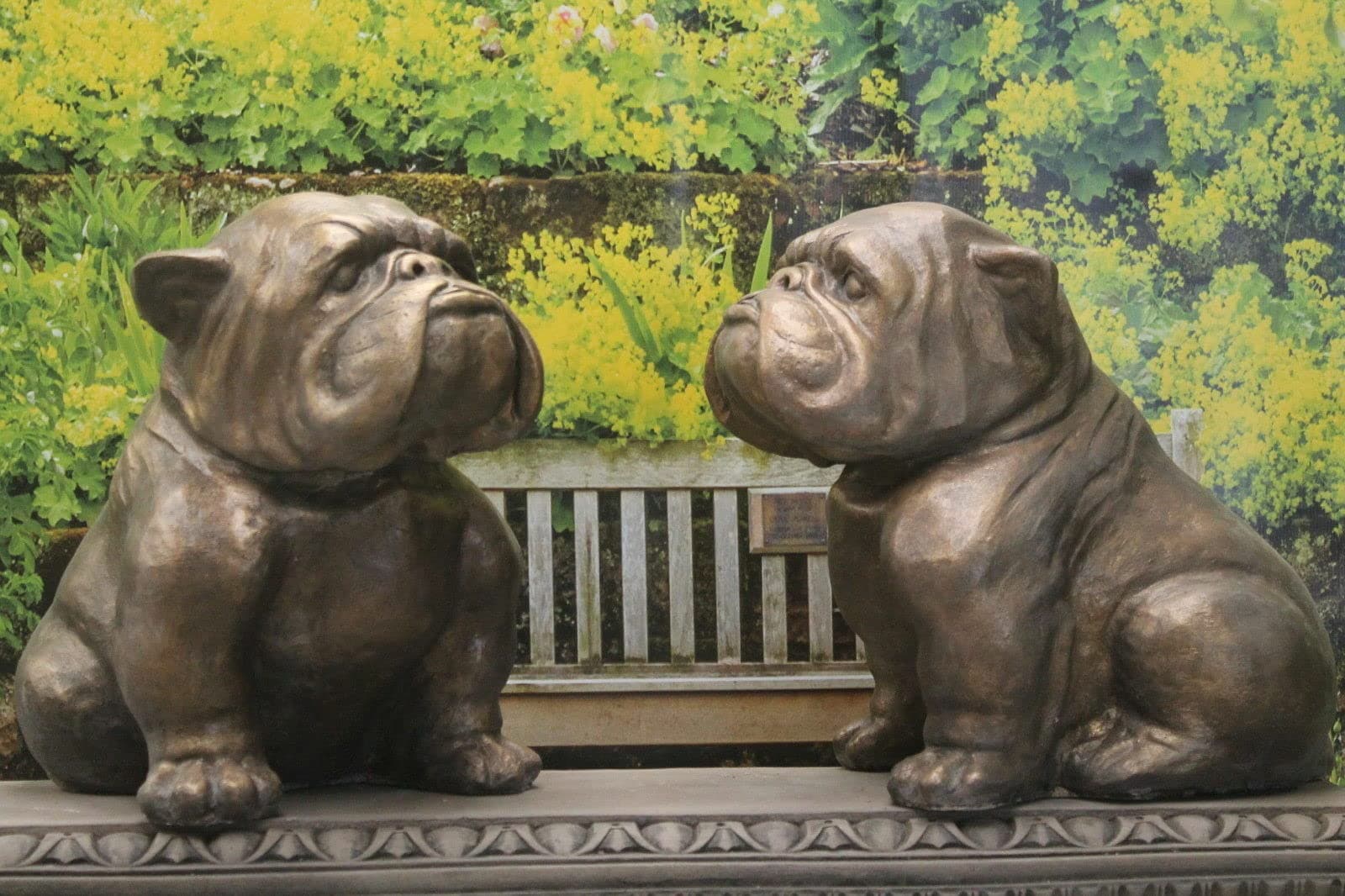 Pair of stone bulldog garden ornament statues bronze finish