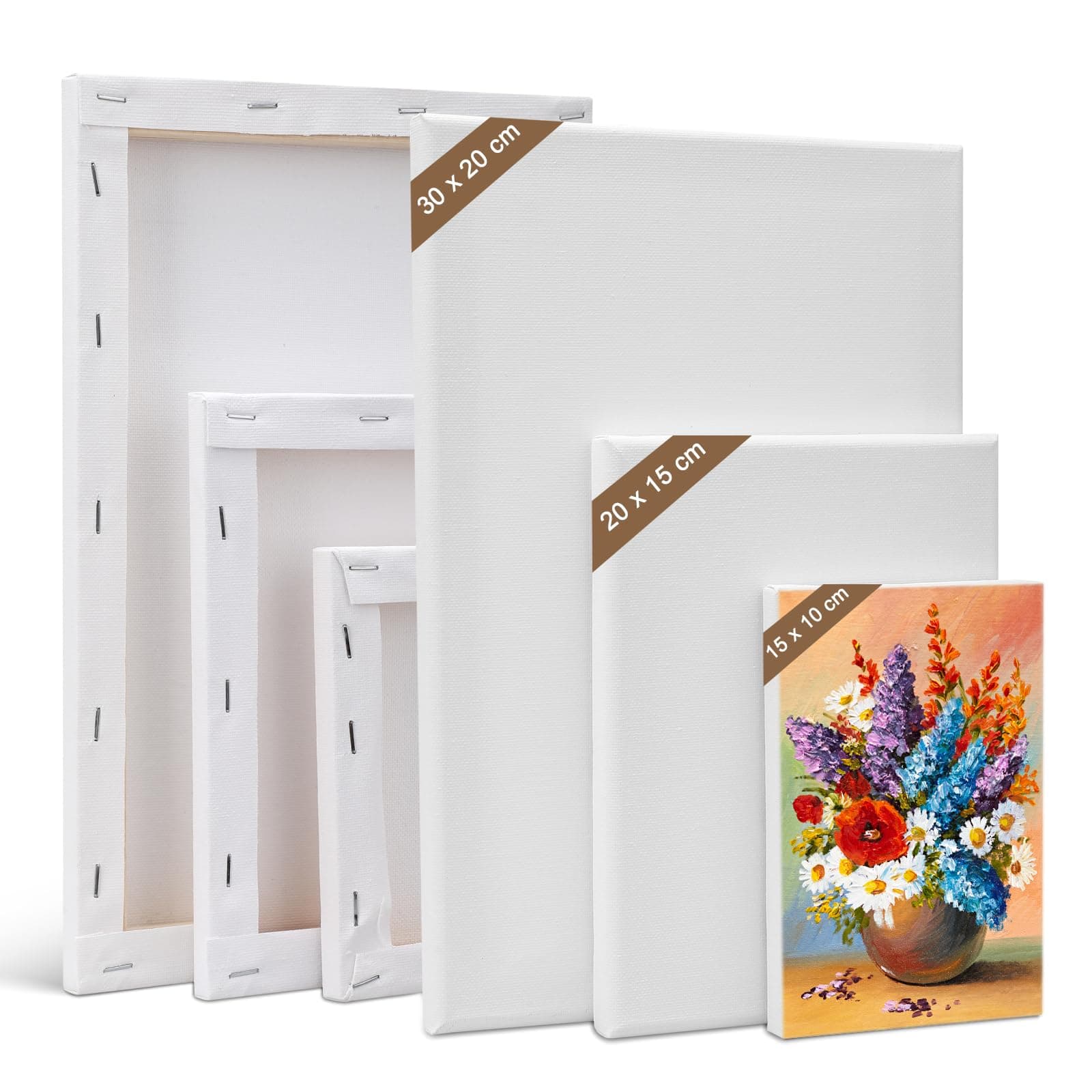 Canvas Set 6 PCS Canvas for Painting 30 x 20,20 x 15,15 x 10 cm Canvases, Stretched Blank Canvas for Painting Art Canvas Board for Oil Painting Acrylic Painting Canvas Boards for Artist