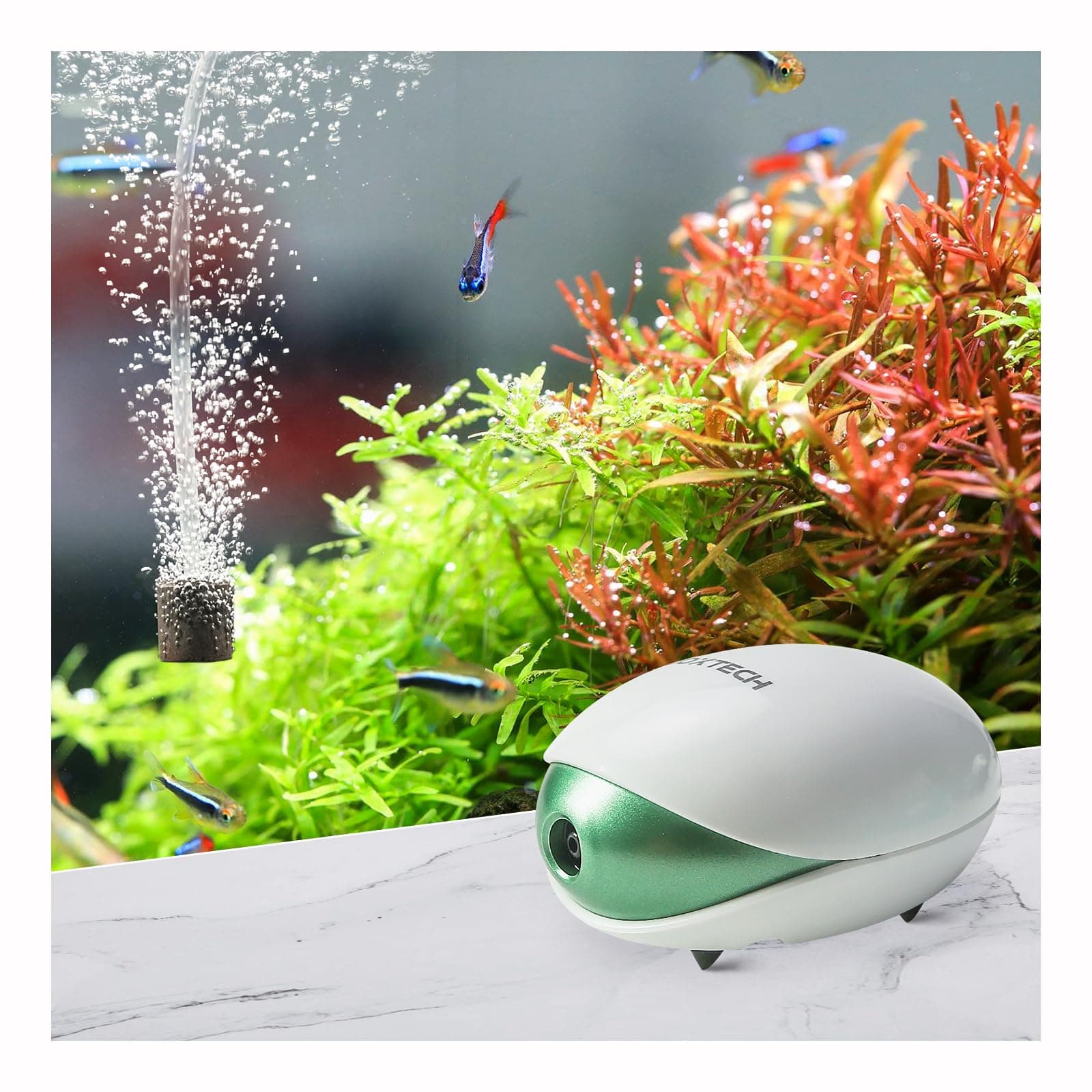 10-30 gallon air pump kit