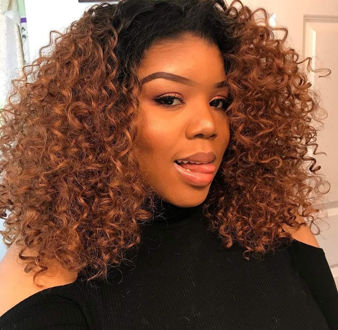 MISSWIG Synthetic Short Curly Wig with Black Women,Ombre Color Heat Resistant Kinky Curly Wigs,Realistic Looking Full Wigs for Women with Wig (Blakc to Brown)