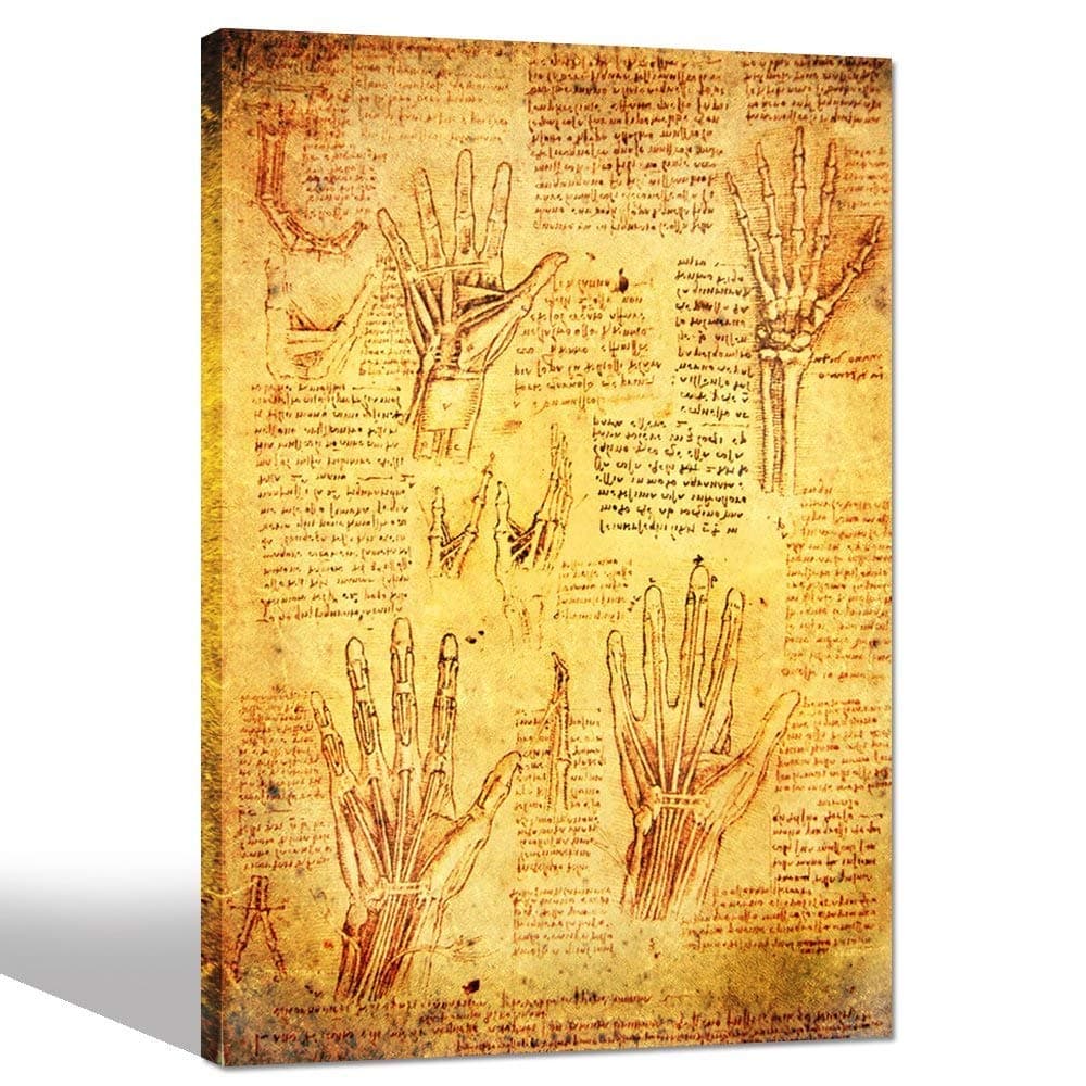 Sea Charm- Anatomy Art by Leonardo Da Vinci Giclee Canvas Print,Vintage Wall Art Decor,Famous Painting Reproduction Canvas Artwork Ready to Hang -24" x 36" (Hand)