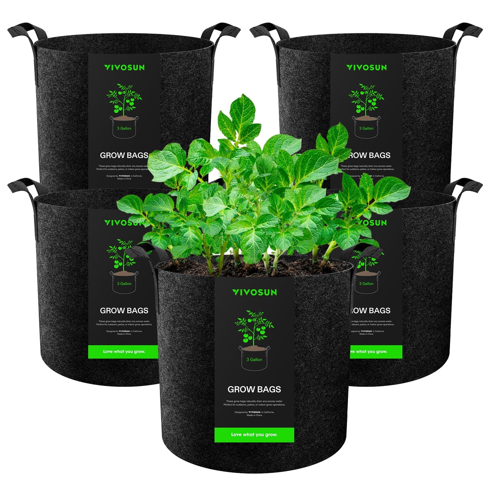 Grow Bags 5 Pack 12L, Heavy Duty Thickened Nonwoven Fabric Pots with Strong Handles for Vegetables, Flowers, Fruits, Greenhouse and Garden