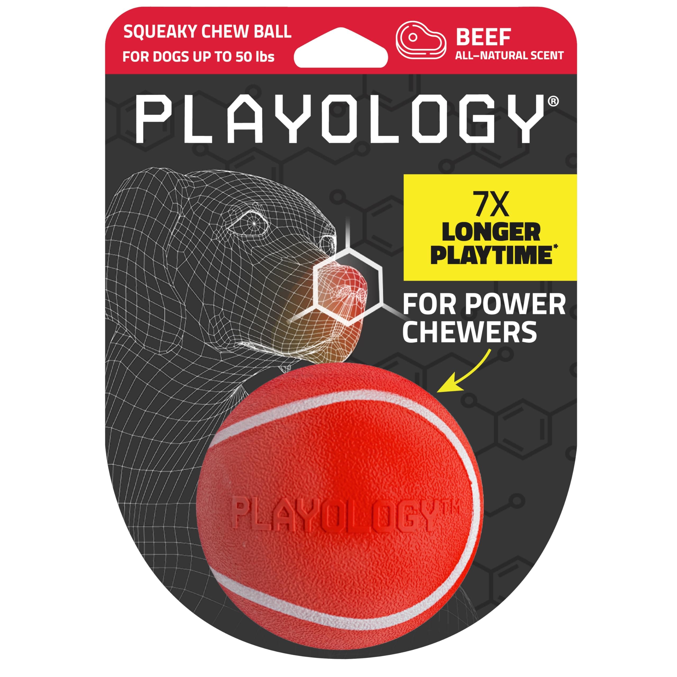 Playology Dog Toys | Squeaky Chew Ball - Bouncy Durable Floating Fetch Ball for Dogs | Medium Beef Scented Toy - Easy to Clean and Made from Non Toxic Materials