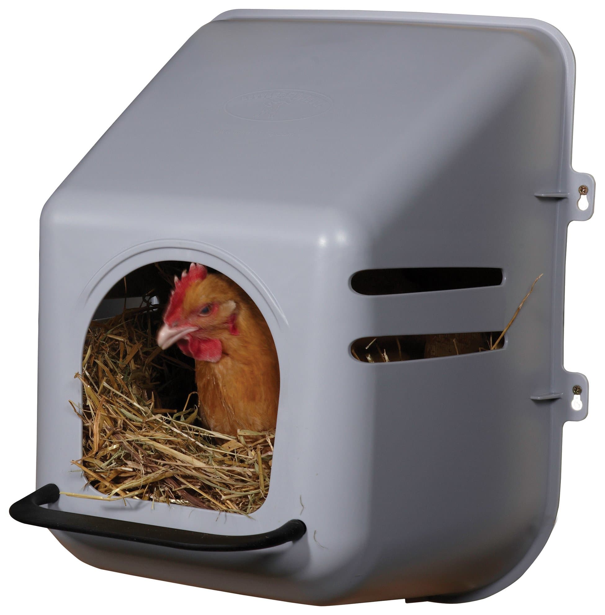 Little Giant Single Chicken Nesting Box, Grey, 26.5"L x 15.9"W x 19.8"H, Sloped Roof for Comfort, Durable Impact-Resistant Material