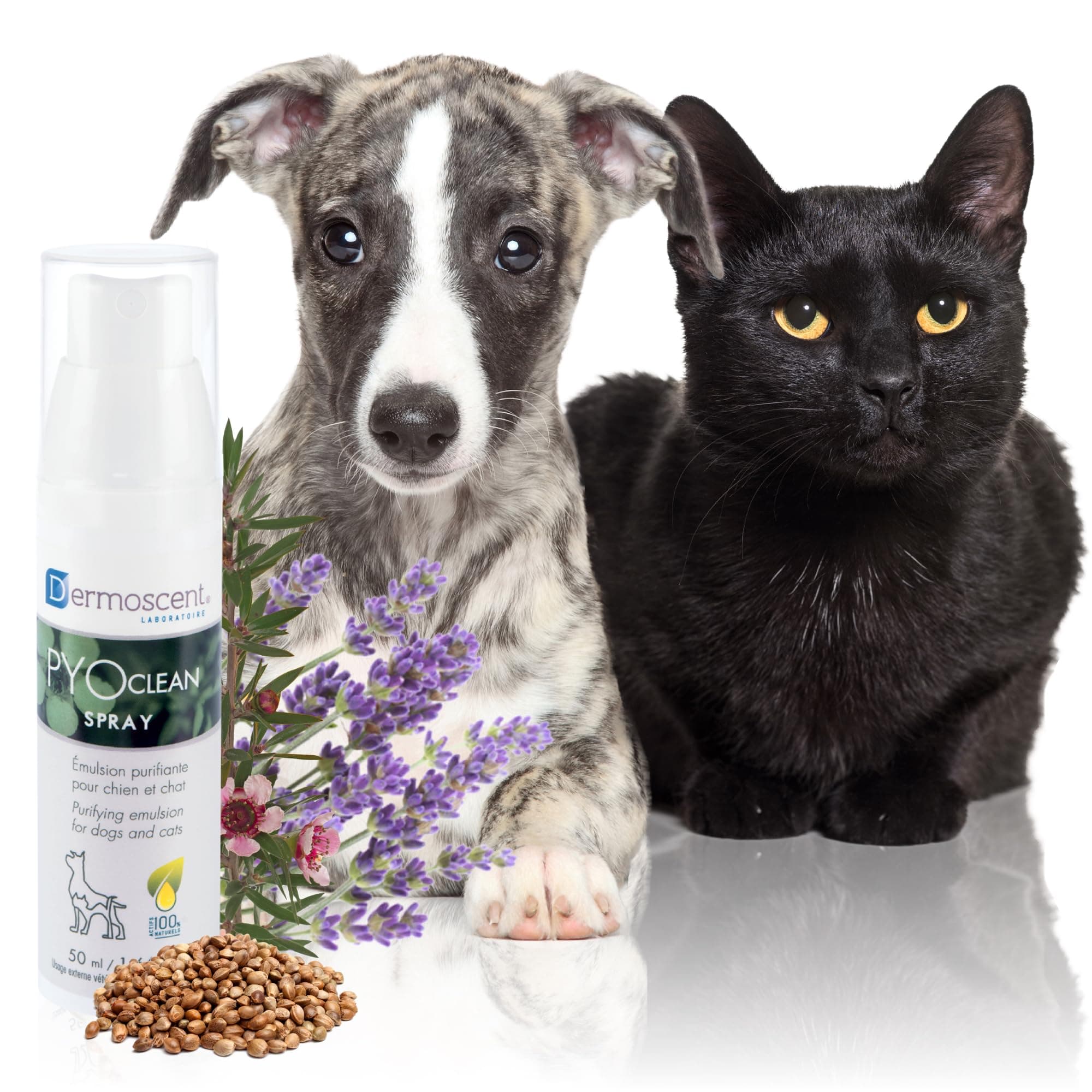 PYOclean® Spray for Dogs & Cats Balances the Skin, Prevents Pimples, Chin Acne, Reddened Skin & Scabs, 50 ml (1.66 fl. oz.)