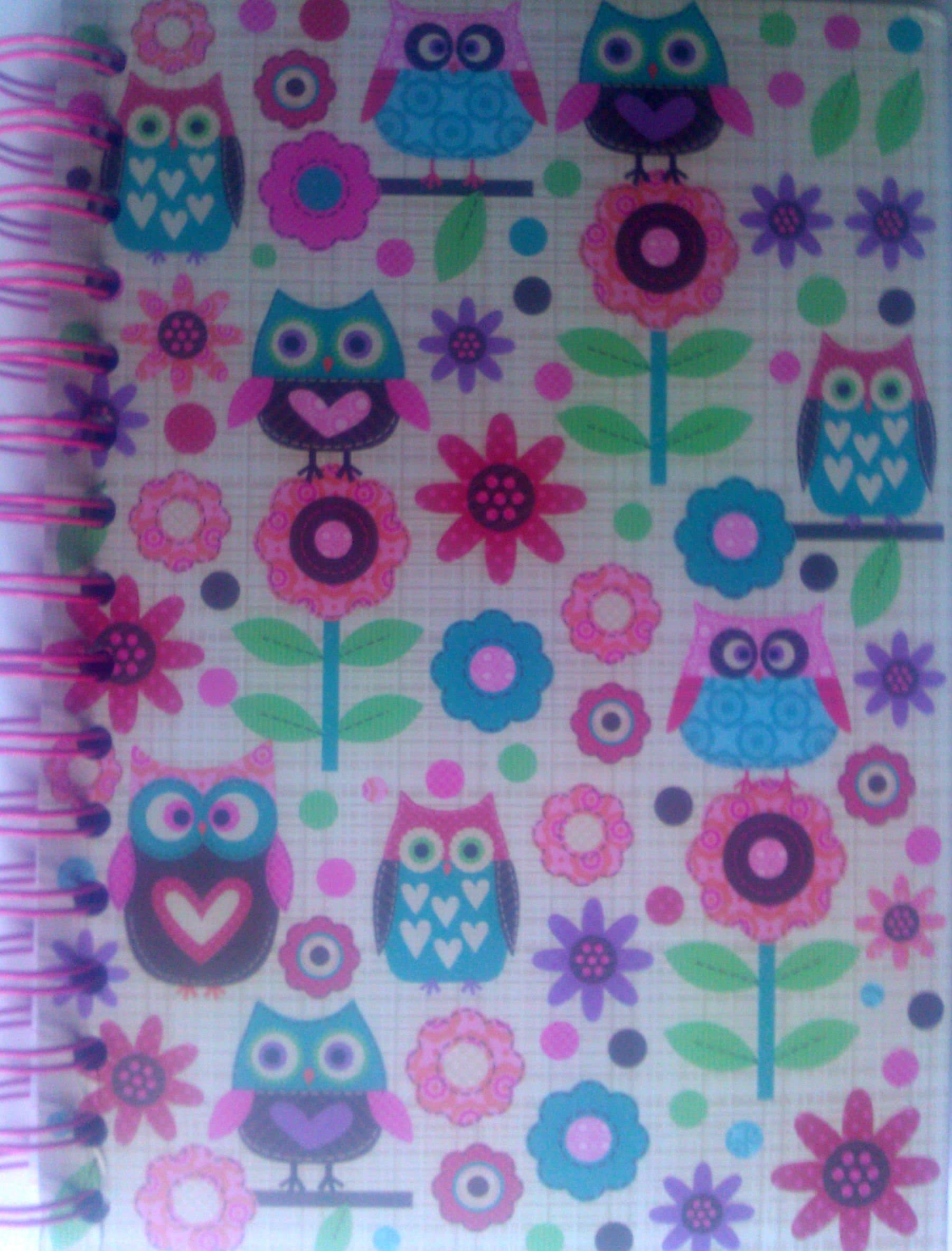 Jessica Flick 192 Owled Lined Page Journal Notebook