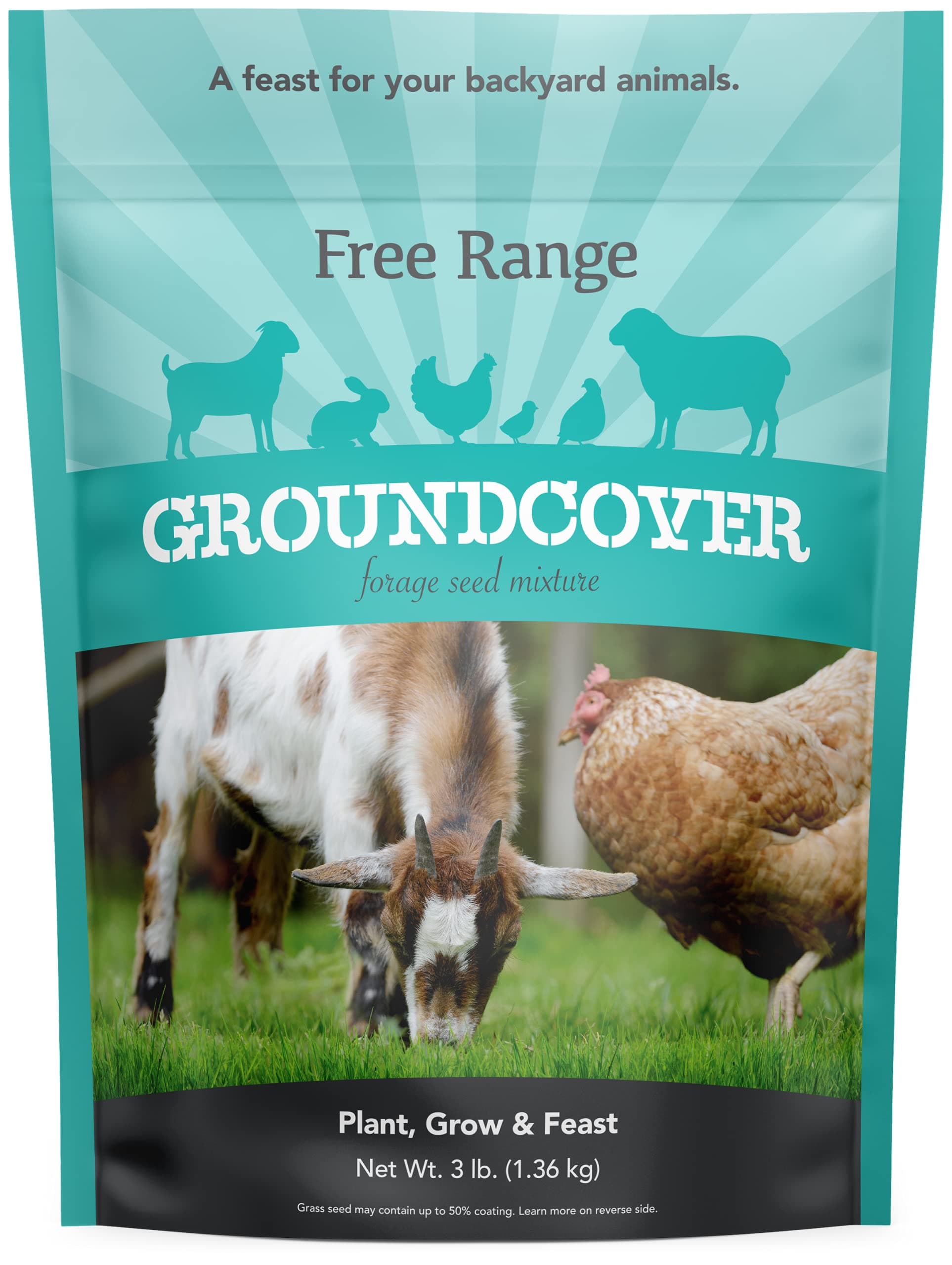 Barenbrug Free Range GroundCover Forage Seed Mixture - Ideal for Chickens, Game Birds, Goats, and Sheep - 3 lb Bag, Blue