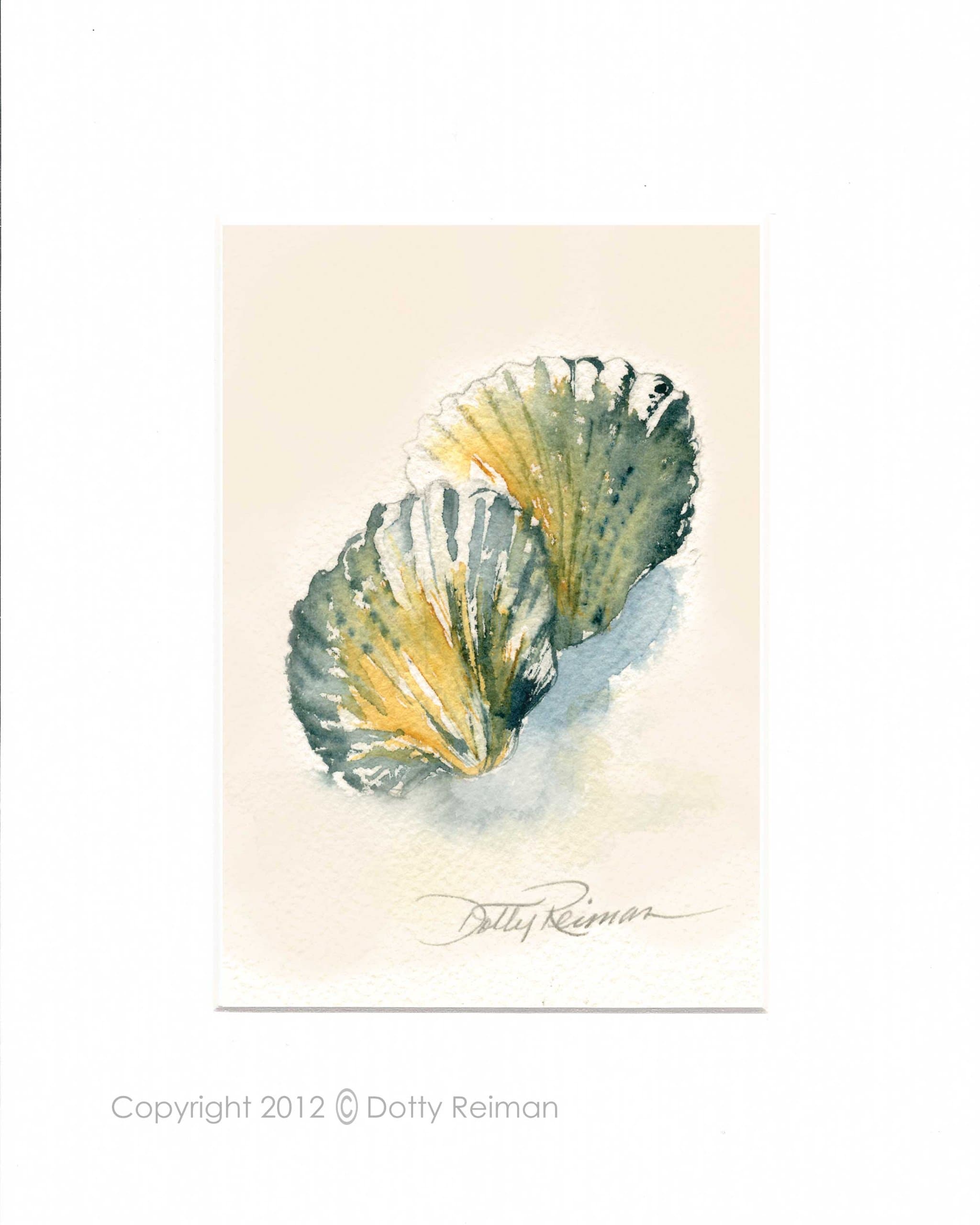 Seashell Art 5 x 7 inch Print by Dotty Reiman - Fits into an 8 x 10 inch Frame