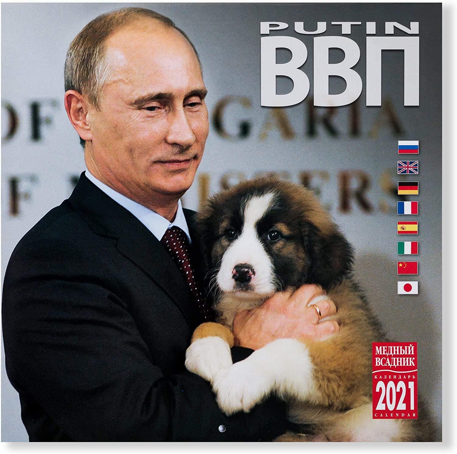 Vladimir Putin Wall Calendar for 2021, Size: 11.8x11.8 inches (30×30cm), 8 Languages (Japanese, English, Russian, etc.)