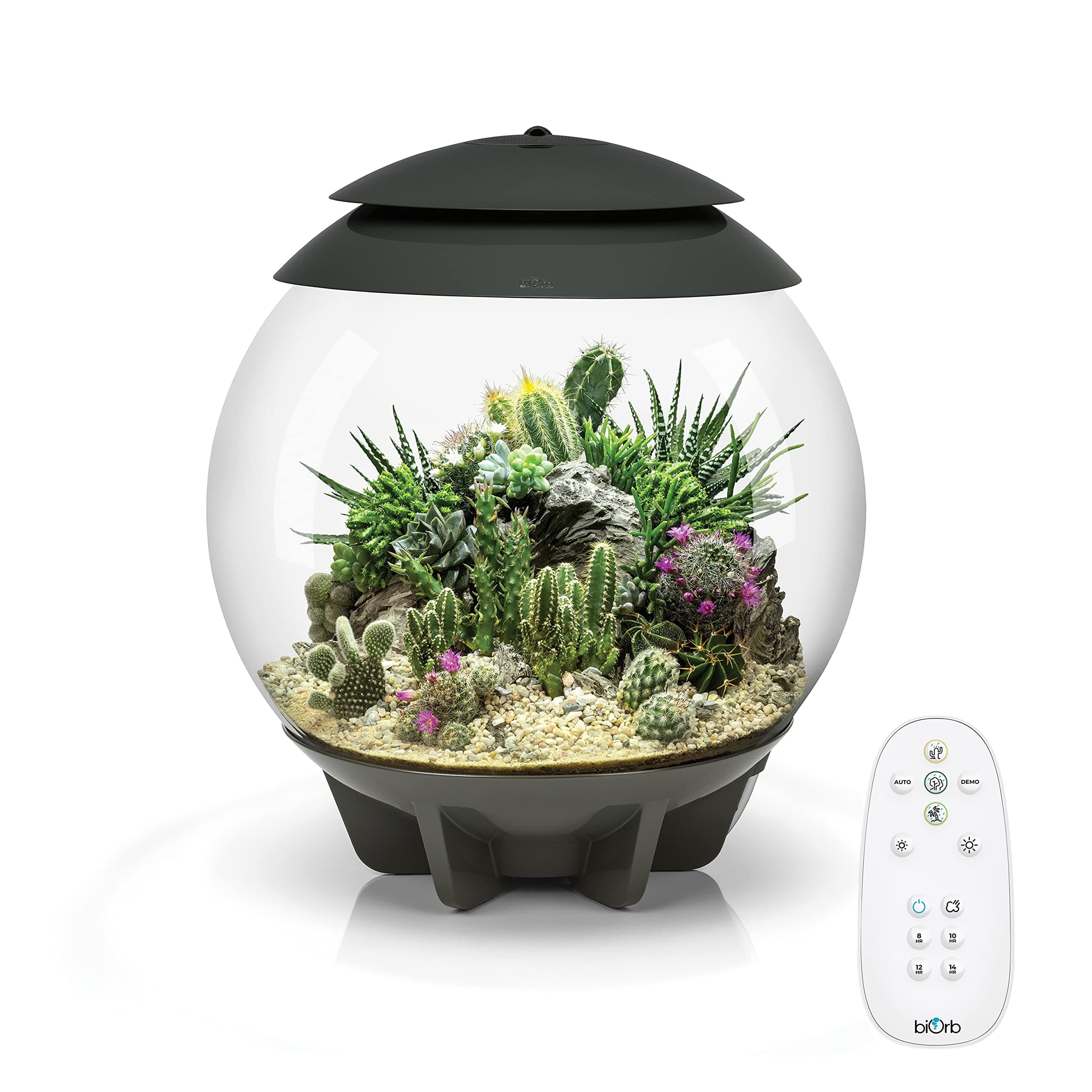 biOrb AIR 30, Fully Automated Terrarium for Arid, Temperate, or Tropical Plants, Gray
