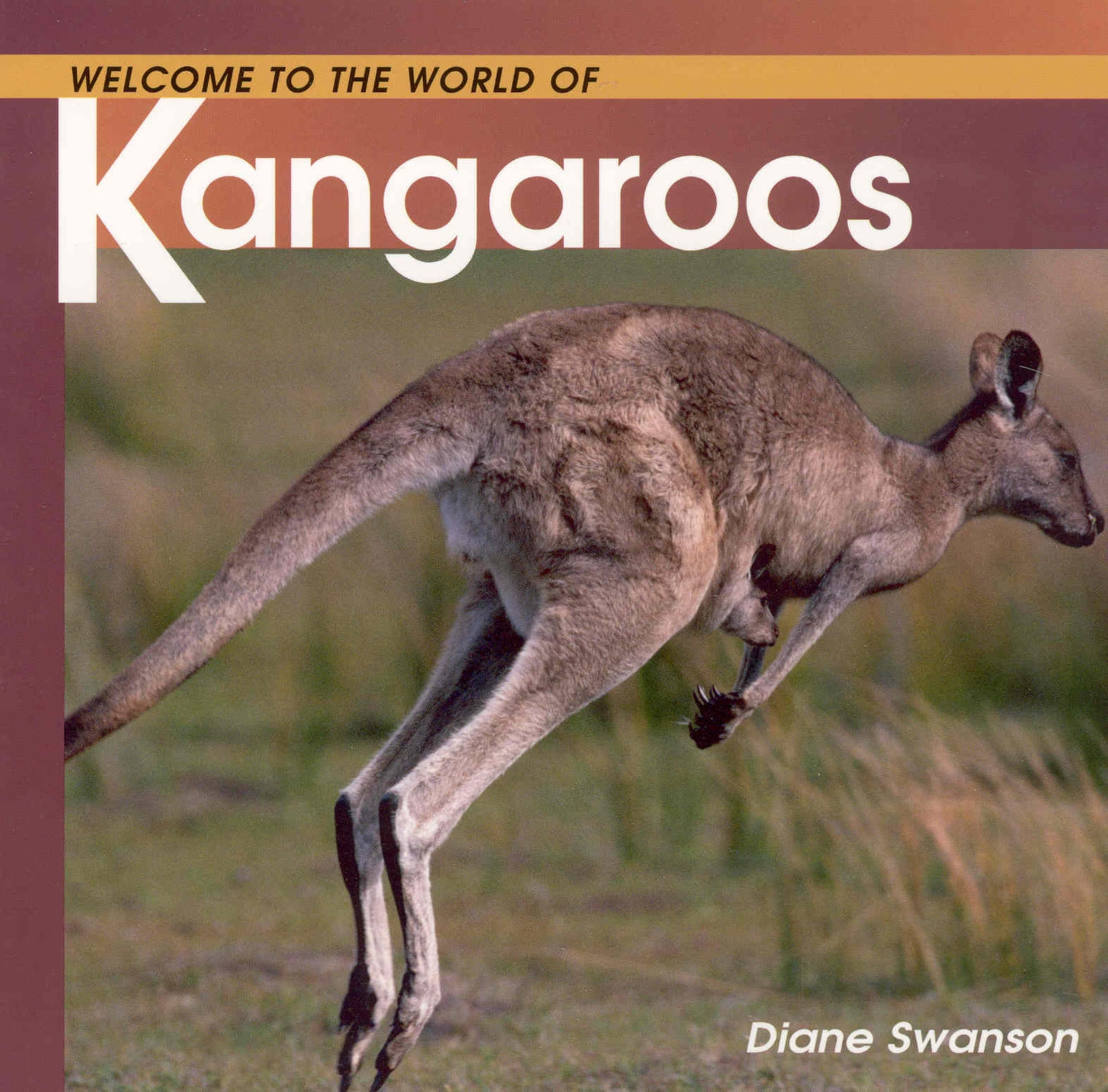 Welcome to the World of Kangaroos Paperback – March 10, 2011