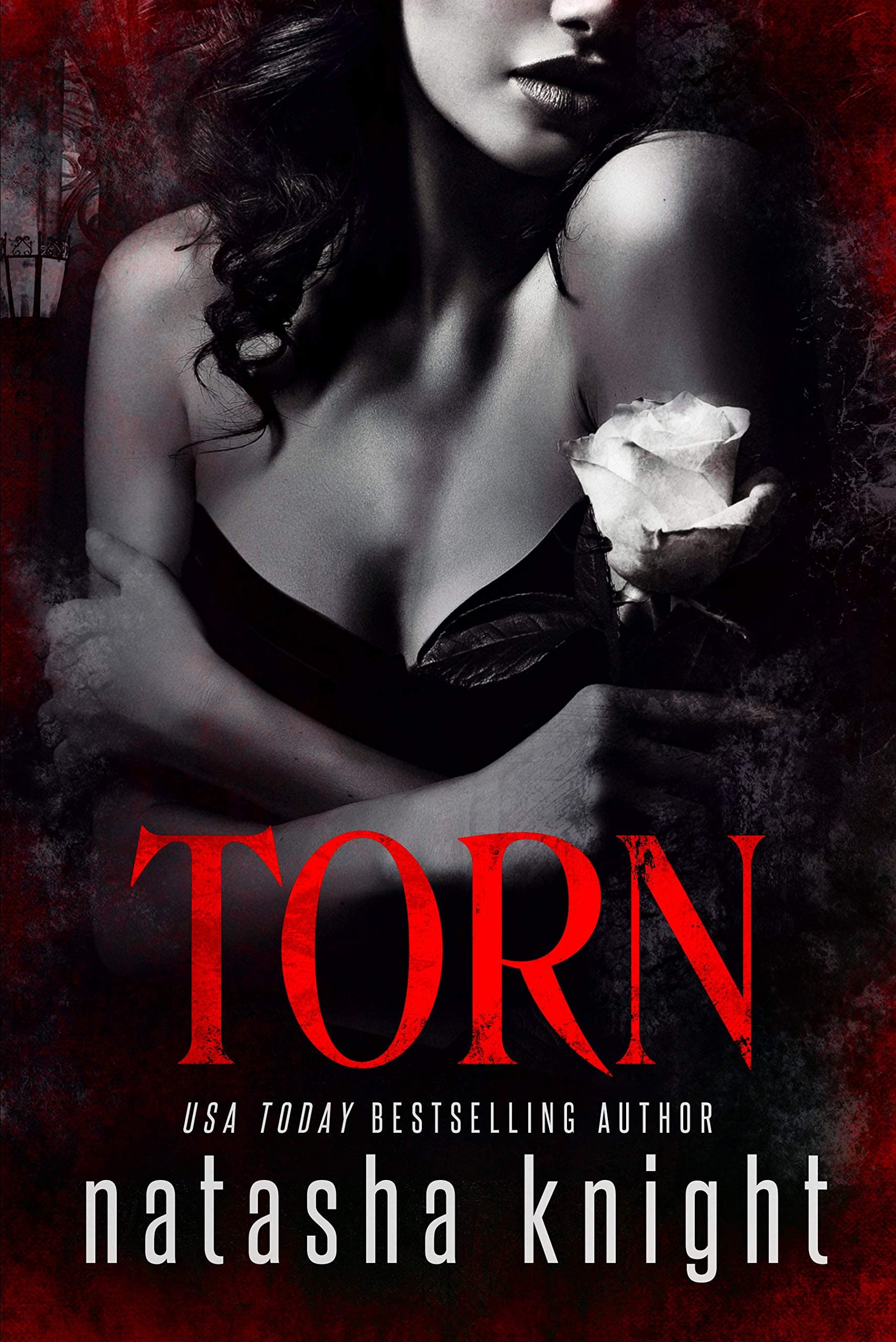 Torn (Dark Legacy Trilogy Book 2)