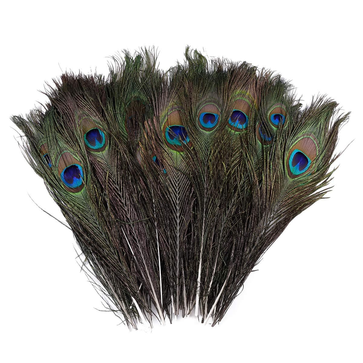 ToPicks 50pcs Natural Real Peacock Feathers for Crafts 10-12 for DIY Earrings Craft Home Wedding Party Centerpieces Baby Shower Decorations