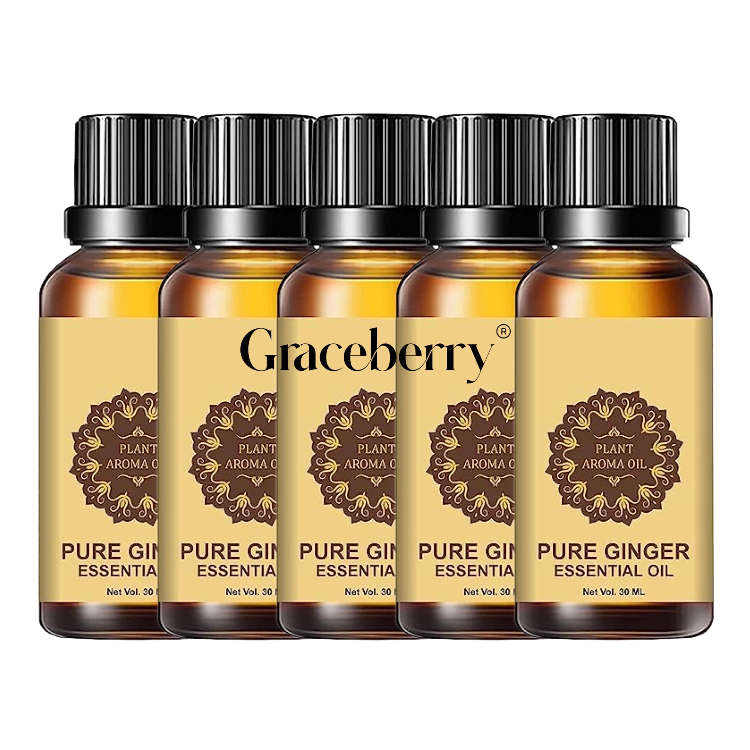 Graceberry Ginger Massage Oil – 150 ml Bottles | Suitable for Tummy and Body Massage | Plant-Based Blend with Ginger Extract for General Massage Use (Pack of 5)