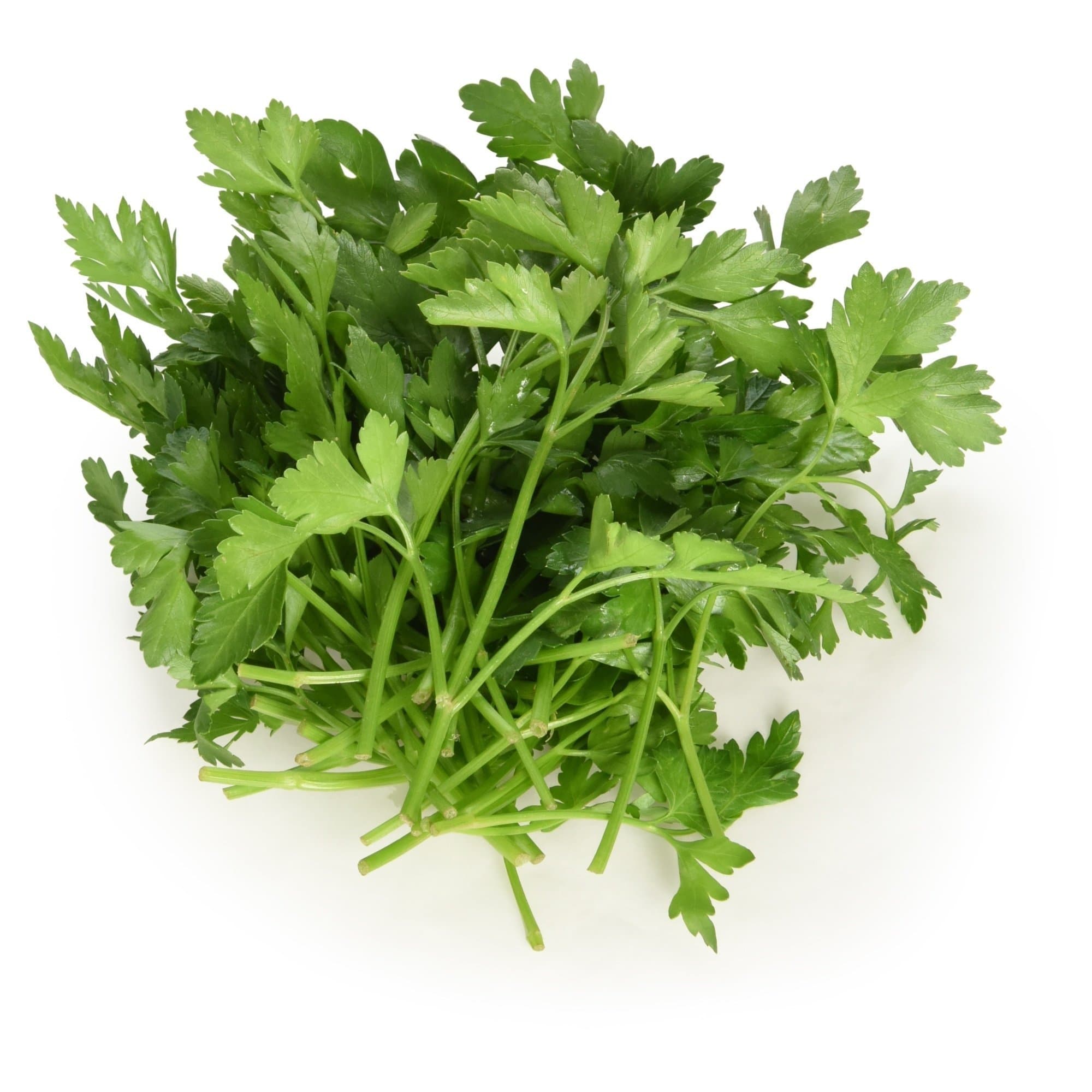 Langmead Herbs Fresh Cut Flat Parsley Leaf, 31g