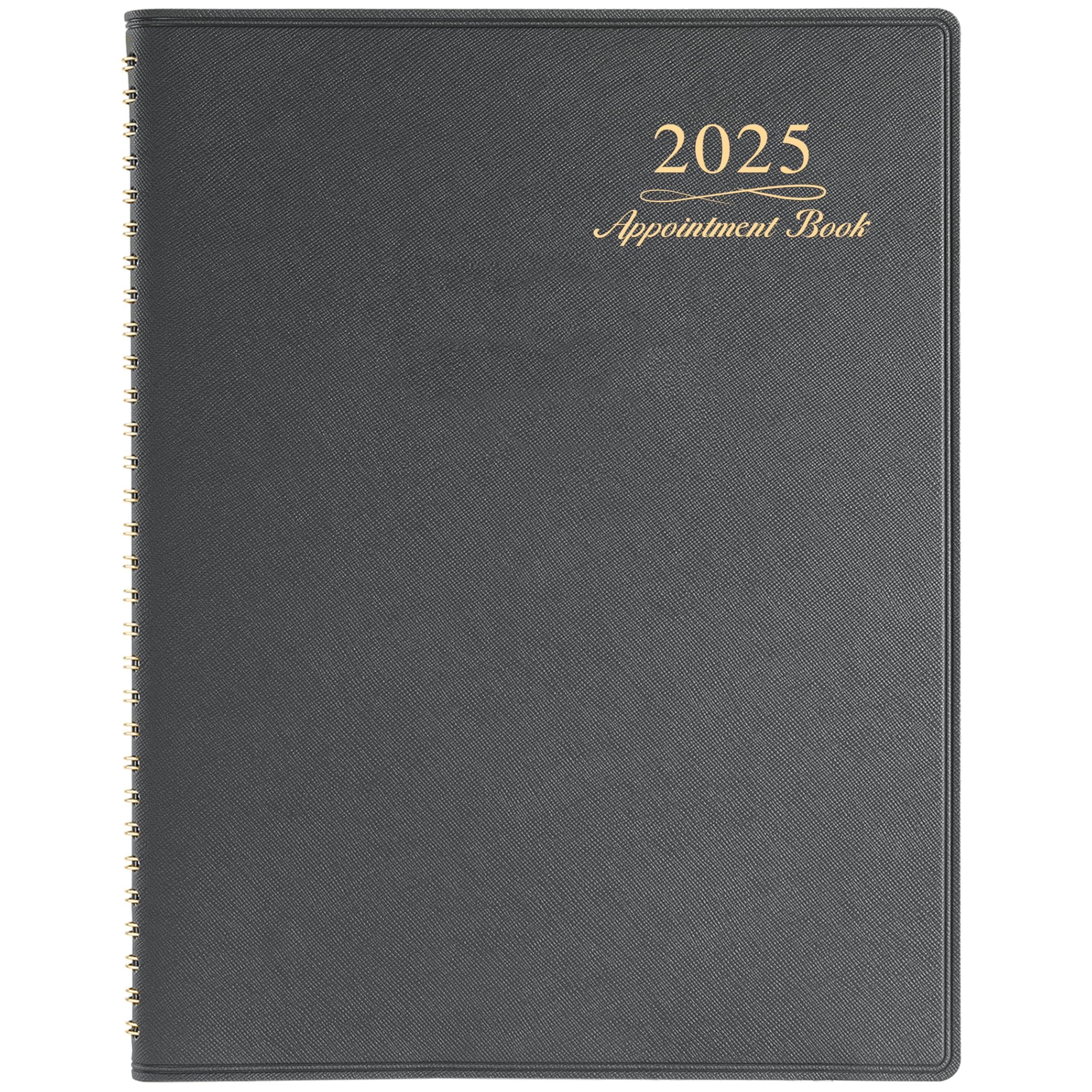 2025 Weekly Appointment Book - Appointment Book 2025, Jan 2025 - Dec 2025, Daily/Hourly Planner with Tabs, 15 Minutes, 8.26" x 10.8", Wirebound - Grey