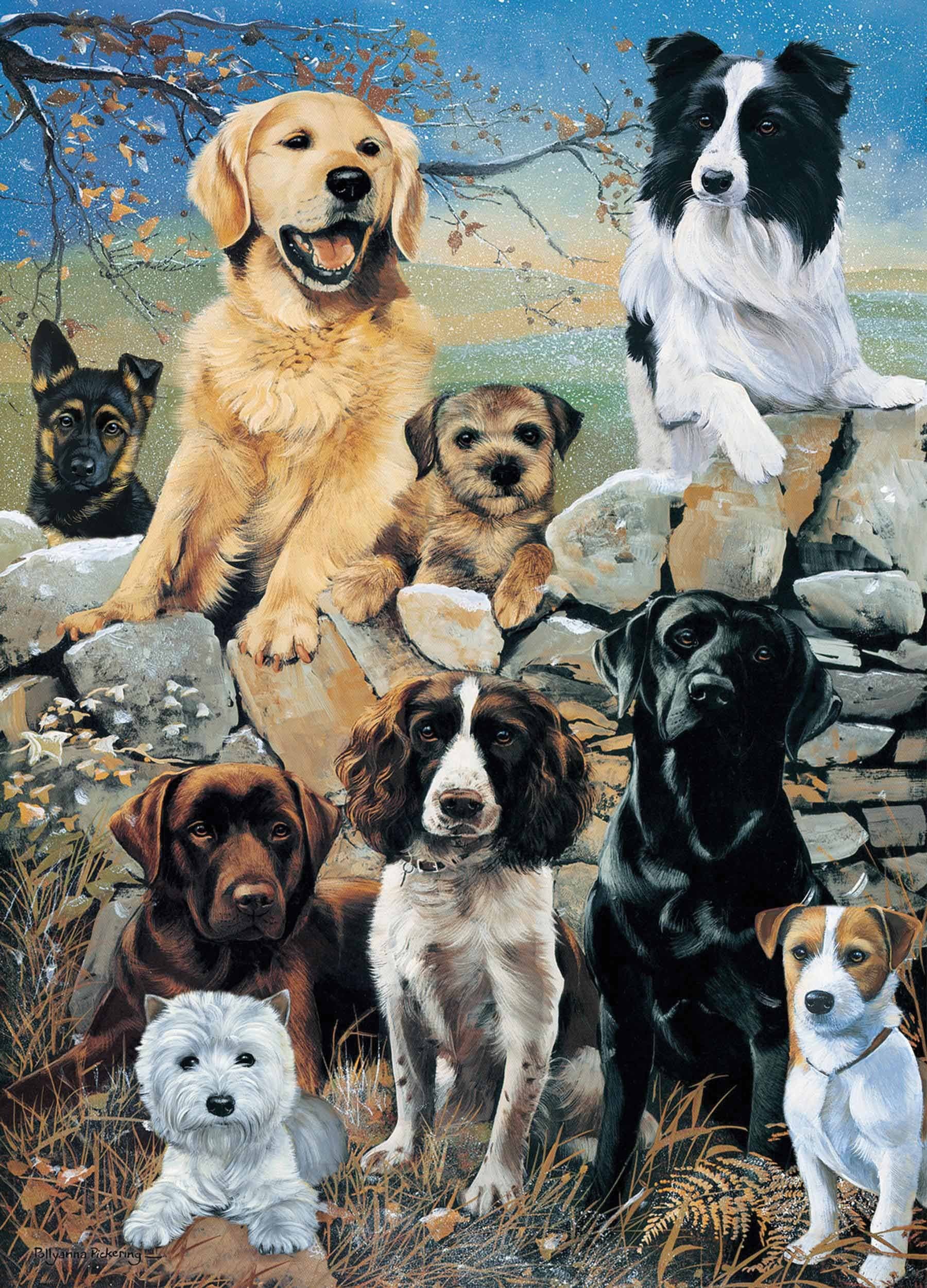 The Look Out - 1000 Piece Jigsaw Puzzle