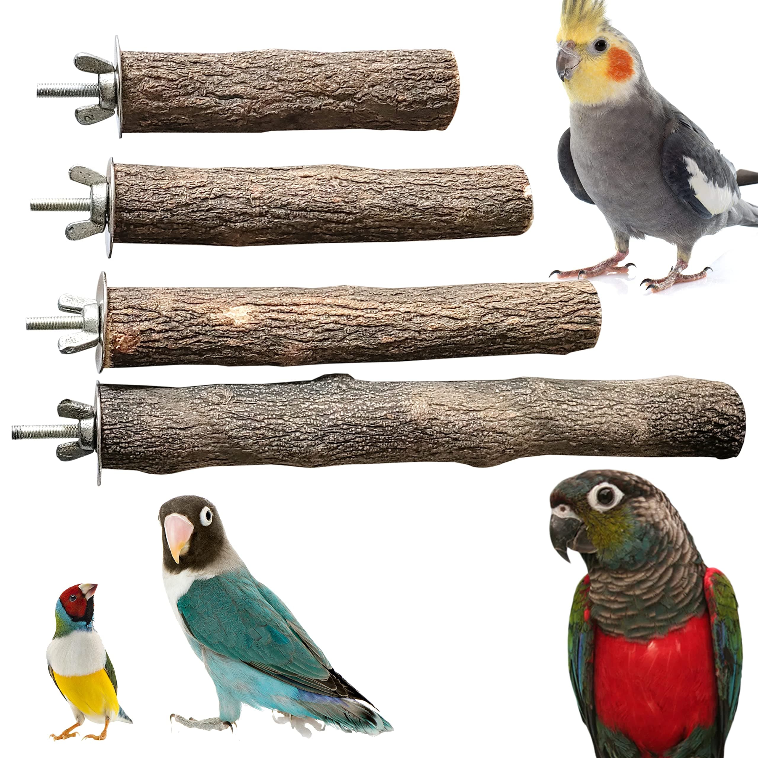 Congo® Perch Set | Natural Safe Chew for Budgies, Cockatiels, Lovebirds, Finches, Conure and Other Birds | Set of 4
