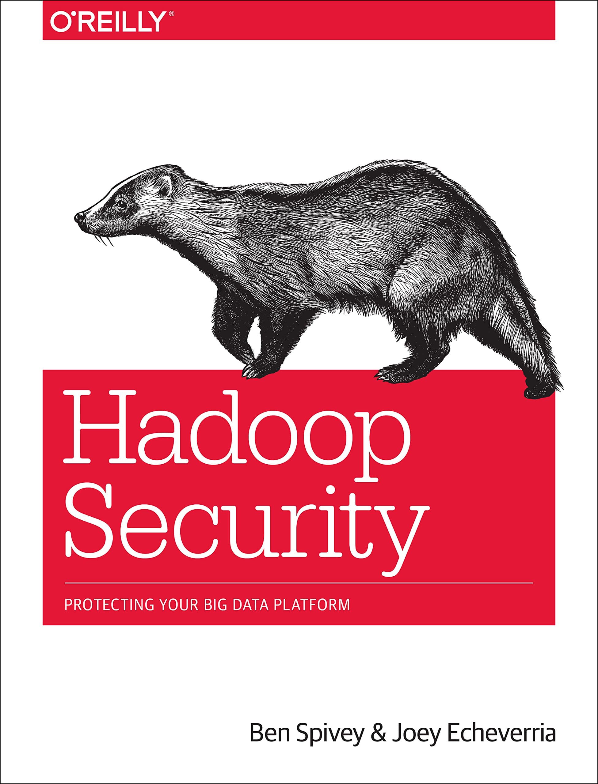 Hadoop Security: Protecting Your Big Data Platform 1st Edition